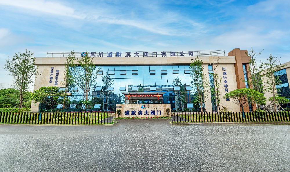 技改先鋒，激流勇進(jìn) ——四川道默濱大閥門(mén)有限公司積極參與行業(yè)科技創(chuàng  )新成果交流