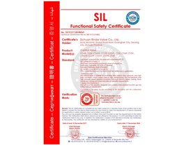 SIL3設備安全性能等級證書(shū)1